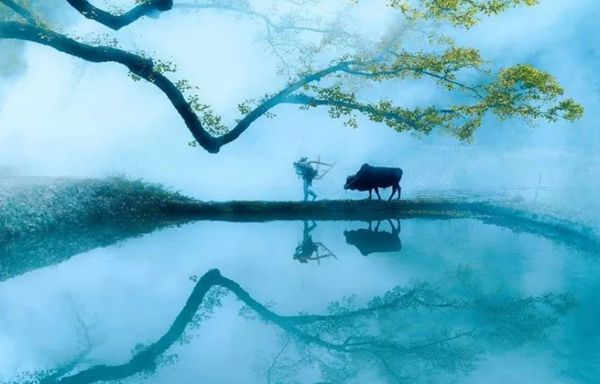 回歸鄉(xiāng)村,方知幸福 【輕鋼別墅】(圖1) 回歸鄉(xiāng)村,方知幸福 【輕鋼別墅】(圖1)