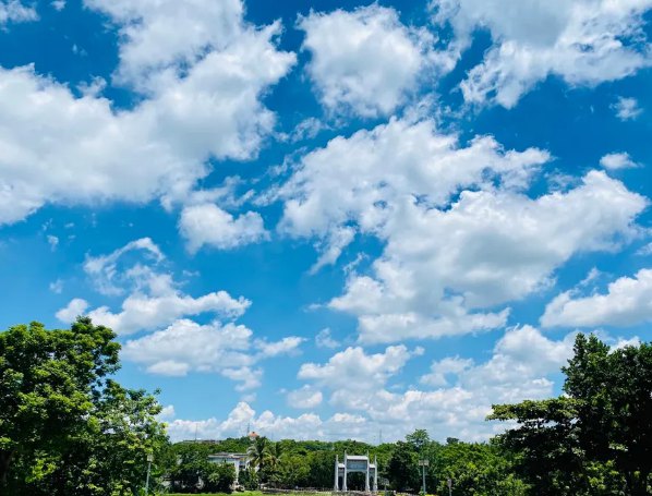 海南：放寬社會資本進(jìn)入農(nóng)村的限制！中國大農(nóng)場時代來臨？(圖1)